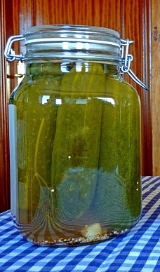 bocal cornichon