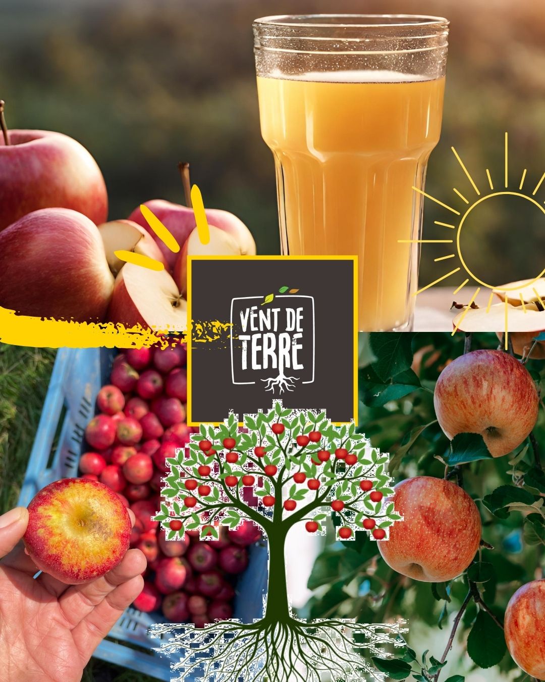 Jus de pommes