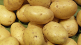 1024px-Pommes_de_terre_Monalisa